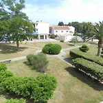 Lumineux Proche A Les Mimosas - Fr-1-251-904